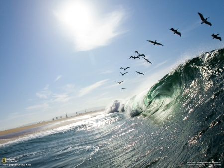 Wave - nature, national geographic, ocean, wate, sea, wave