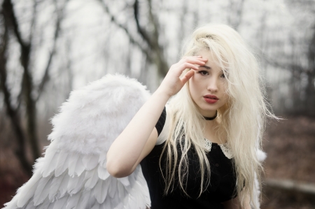 Angel - white, woman, girl, angel, wing, feather, black, model