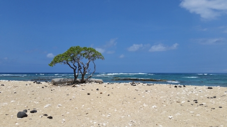 Big Island Beach - big island, beach, hawaii, rocky