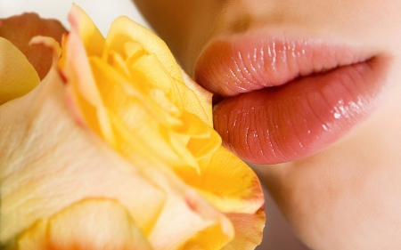 Soft kiss - mouth, lips, yellow, woman, rose, kiss, flower