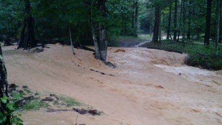 My Little Creek - Trees, Roads, Water, Flood