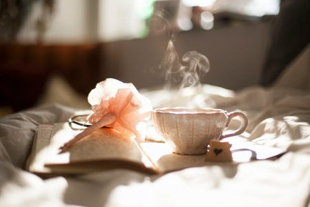 ♥ - abstract, tea, flower, soft