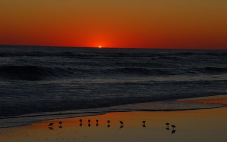 Sunset Background - nature, beach, ocean, sunset