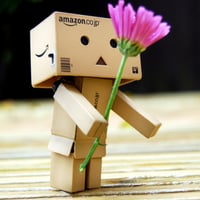 Danbo with Flower