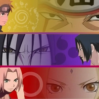 team 7