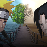 naruto n sasuke