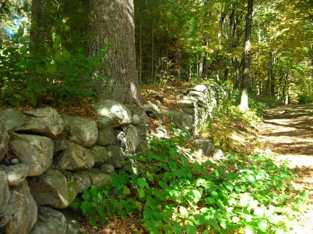 Stone wall - forests, walls