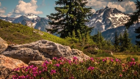 Beautiful Day - flowers, trees, nature, mountain, rocks, sky