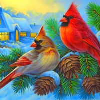 Winter cardinals