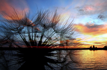 Sunset at the Sea - sky, clouds, dandelion, water, colors