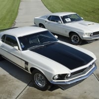 Mustangs