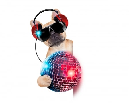 Funny dog - blue, ball, headphones, white, animal, funny, red, caine, card, sunglasses