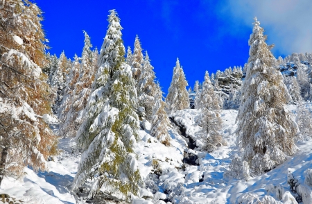 Winter landscape - sky, landscape, trees, mountain, winter, view, forest, beautiful, frost, snow