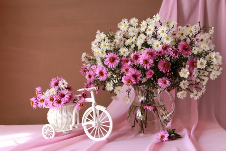 Still life - vase, white, decoration, flower, pink, bycicle