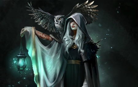 Sorceress - bird, sorceress, girl, bufnita, light, lantern, witch, owl, fantasy, green, pasare