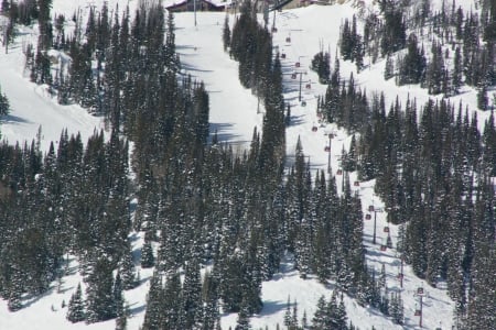 Line of Trams; Teton Village, Wyoming - vacation, scenic, sky tram, ski lift, skiing, gondola, recreation