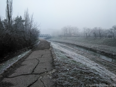 Cold season - winter, fog, cold, freezingcold