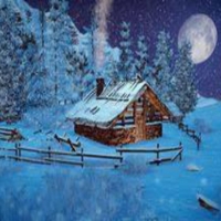 Winter Night