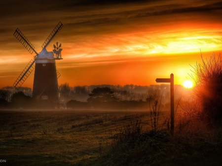 Foggy Sunset - nature, trees, fog, field, windmill, sunset, mill, grass