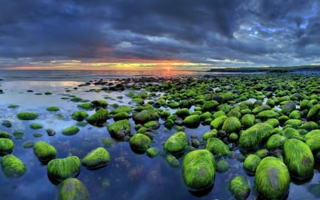 Iceland_moss on the rocks - nature, beach, iceland, clouds, moss, sea, rocks