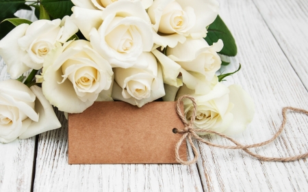 White roses - love, buds, wedding, roses, bouquet, white roses, romantic, communities white, flowers is