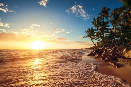 Golden Coast - water, sunset, sea, palmtrees, sun