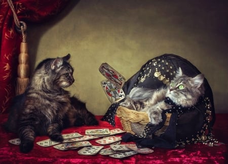 Fortune Teller