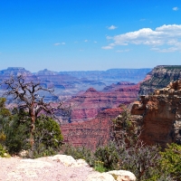 Grand Canyon F