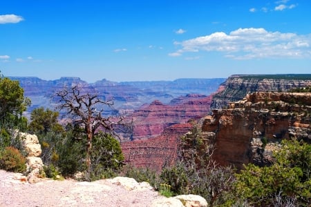 Grand Canyon F - wide screen, national park, landscape, arizona, beautiful, photo, grand canyon, usa, scenery, photography, nature