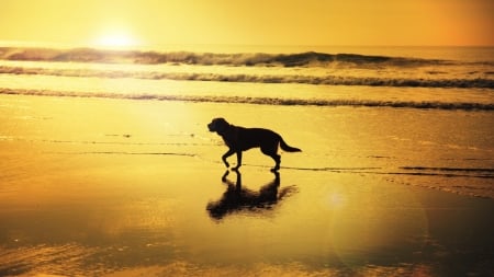 *enjoying the summer* - mirror, beach, sunrise, shadow, wave