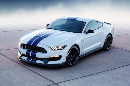 2017 Ford Mustang Shelby GT350 - gt350, 2017, mustang, ford, shelby