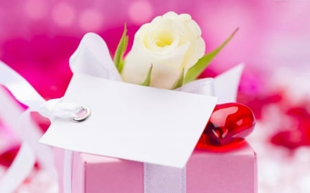 For You - flowers, rose, gift, love