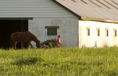 Working The Ranch.. - girls, style, fun, female, cowgirl, outdoors, western, horses, actors, blondes, ranch, tv, movies, dakota fanning, barns