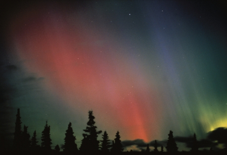 Aurora Borealis from a Train to Fairbanks - firs, colors, sky, alaska