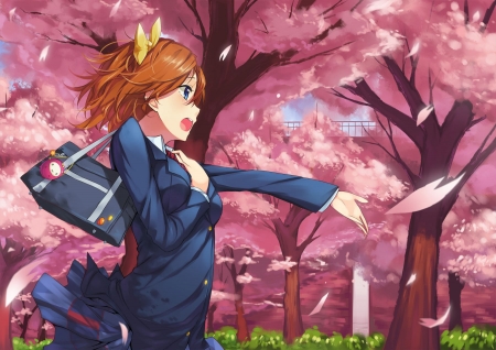 Honoka Kousaka - female, love live, anime, school idol project, anime girl, honoka kousaka, cherry blossoms, cute