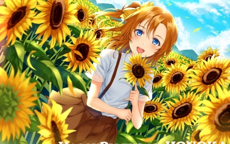 Honoka Kousaka - pretty, cute, anime, anime girl, honoka kousaka, sunflower, school idol project, love live, female