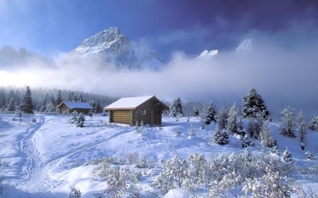 Winter Village - village, trees, winter, nature, fog, snow, mountains, houses