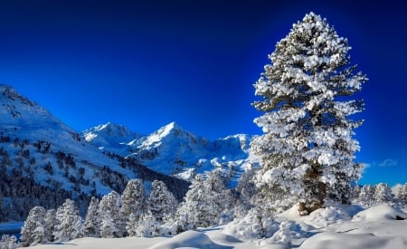 Winter landscape - trees, hills, winter, blue, beautiful, snow, landscape, forest, mountain, cold, frost, sky