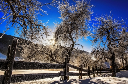 Winter sun - sky, fence, trees, landscape, mountain, sun, winter, beautiful, frost, snow, scenery