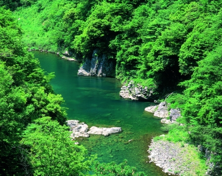 Kuzuryu Valley - nature, valley, japan, river, scenery, green, japanese