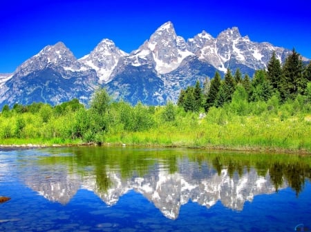 Lake,Forest and Mountain - nature, lake, landscape, trees, mountain, forest, reflection