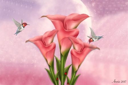 Pink Calla Lily's - hummingbirds, birds, calla lilly, Flowers, digital art, lovely, pink