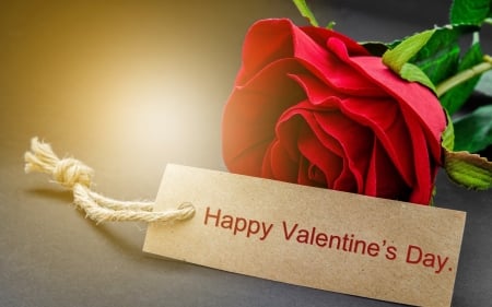 *Happy valentine's day* - love, one, happy valentine day, red rose