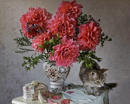 Still Life - table, flowers, still life, cat