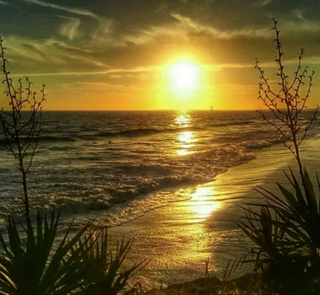 morning beach - nature, beaches, photography, beauty, sun, sky