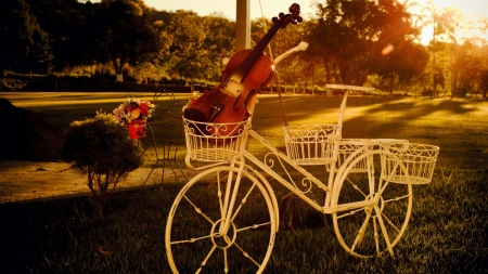 Park Decoration - landscape, violin, bicycle, sunset, path