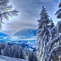 Let It Snow