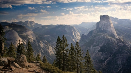 views over trees - forest, cool, fun, nature, mountain