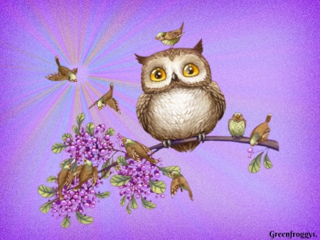 OWL ON BRANCH - image, owl, cute, birds