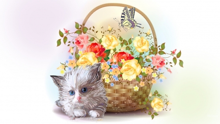 Kitten Basket - summer, flowers, spring, cat, firefox persona theme, kitty, kitten, basket, floral